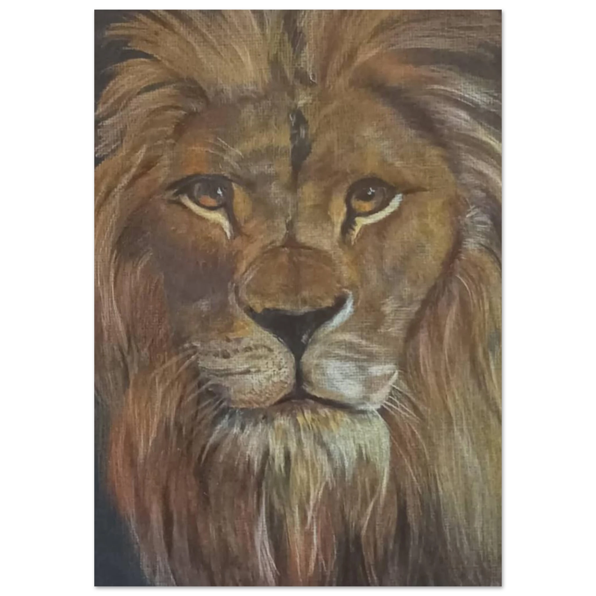 01f8f203-c349-438e-830d-424018efd105