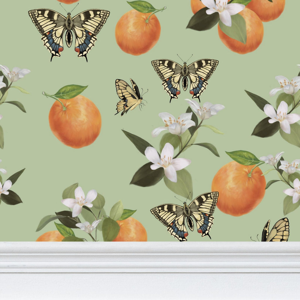 Botanical Oranges & Swallowtail Butterflies