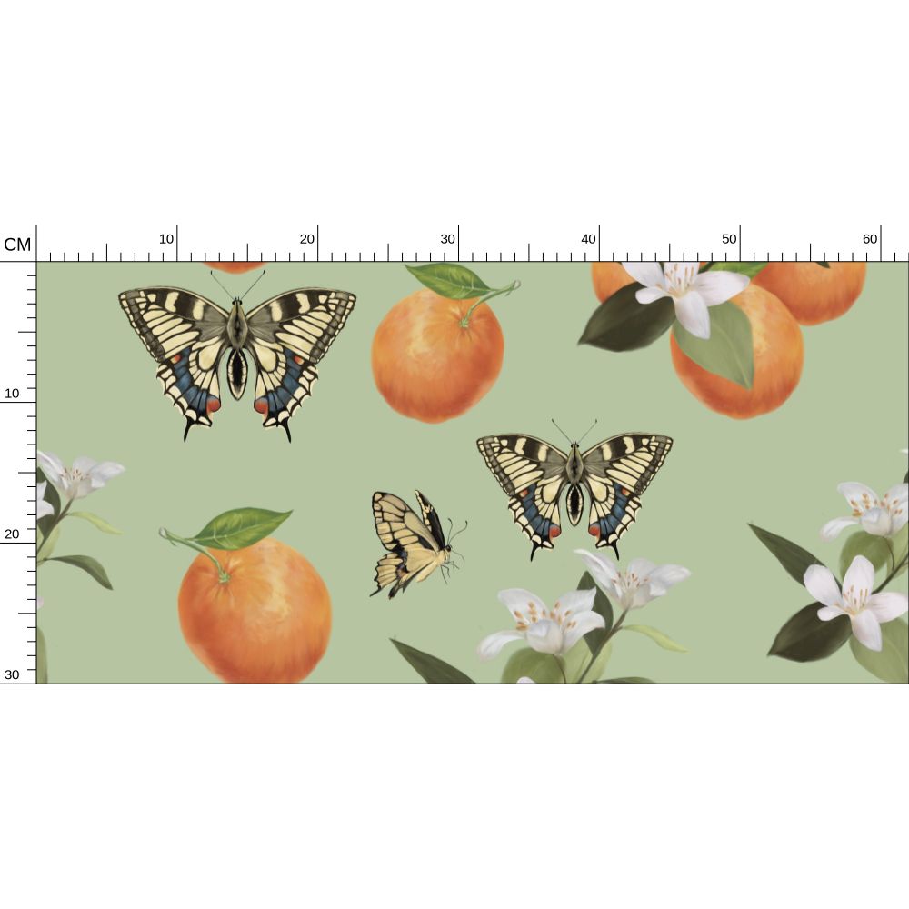 Botanical Oranges & Swallowtail Butterflies