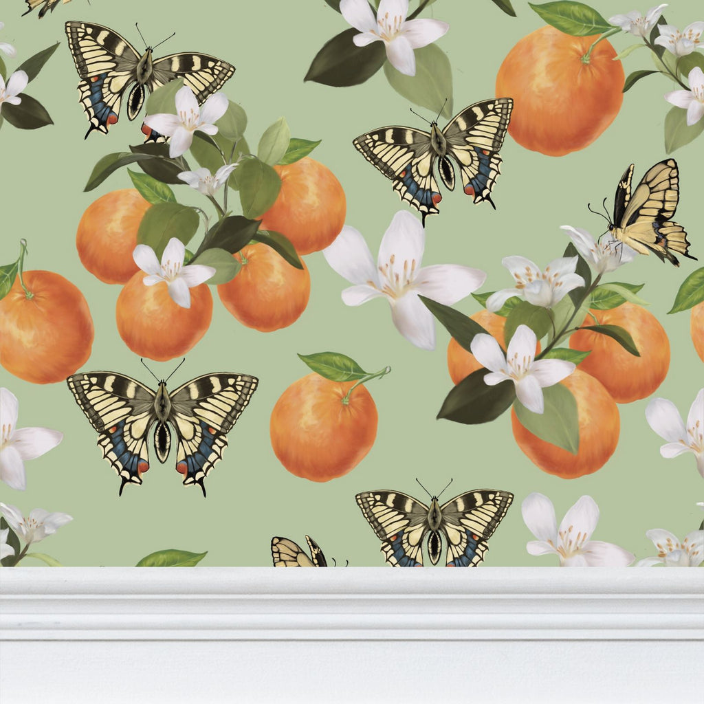 Botanical Oranges & Swallowtail Butterflies