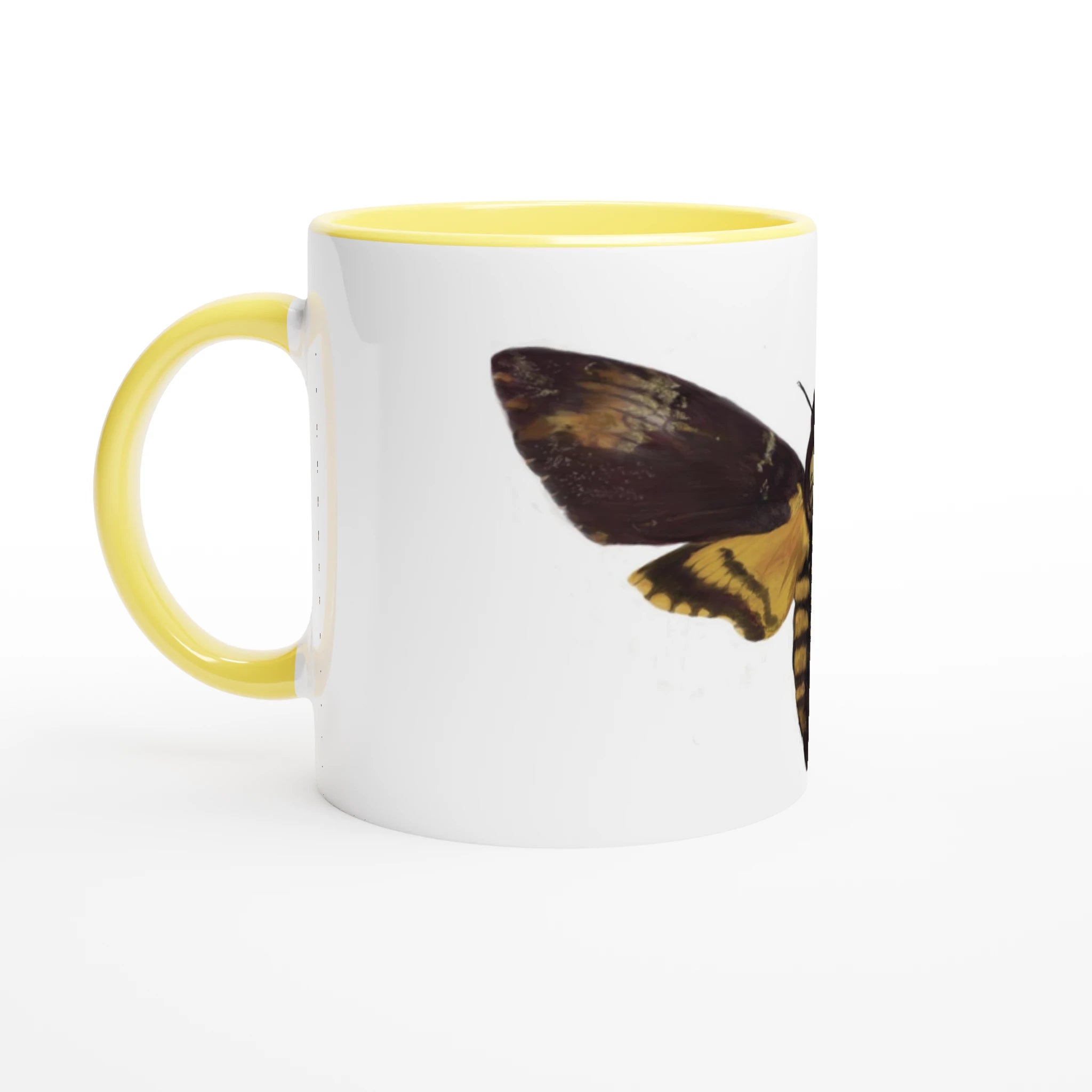 5fcbab2b-bc72-4b4c-9662-af78fcd47ada