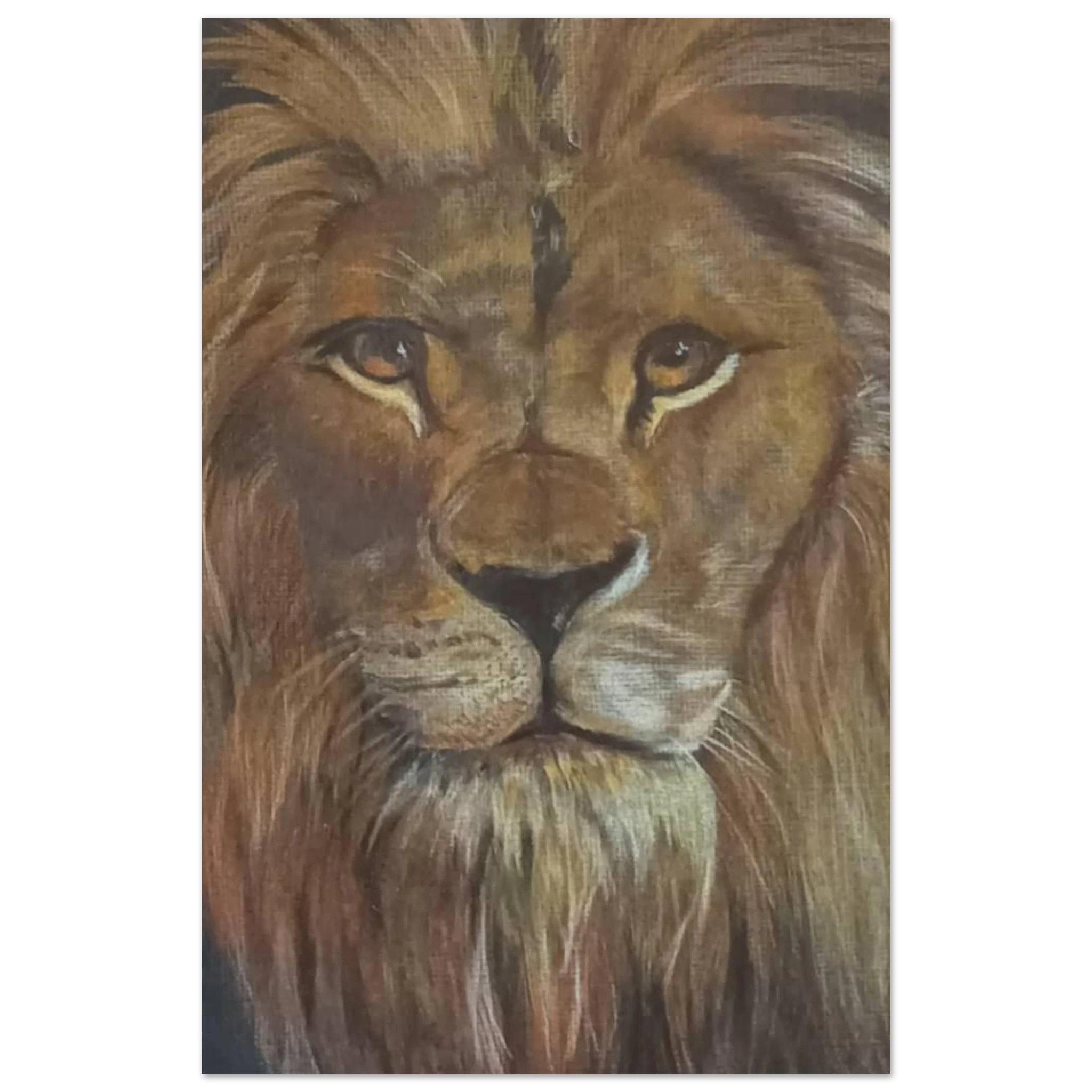 66622c6f-1d25-4e3f-9726-05bd088be291