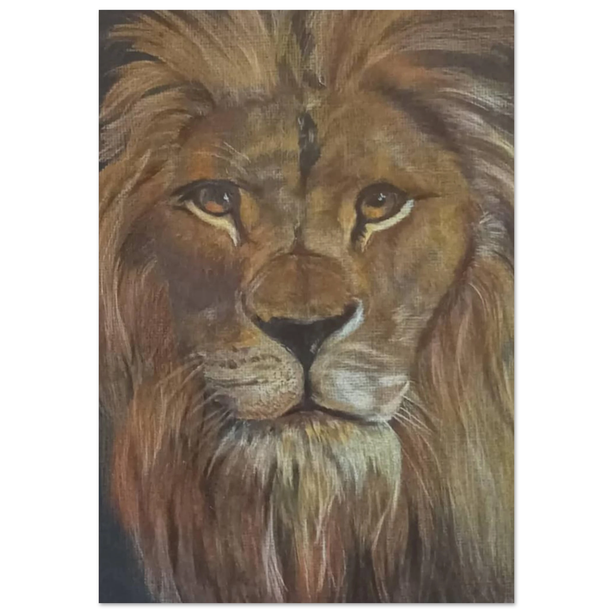 6c03a7b4-4c98-4d5f-9050-85f39c7deed0