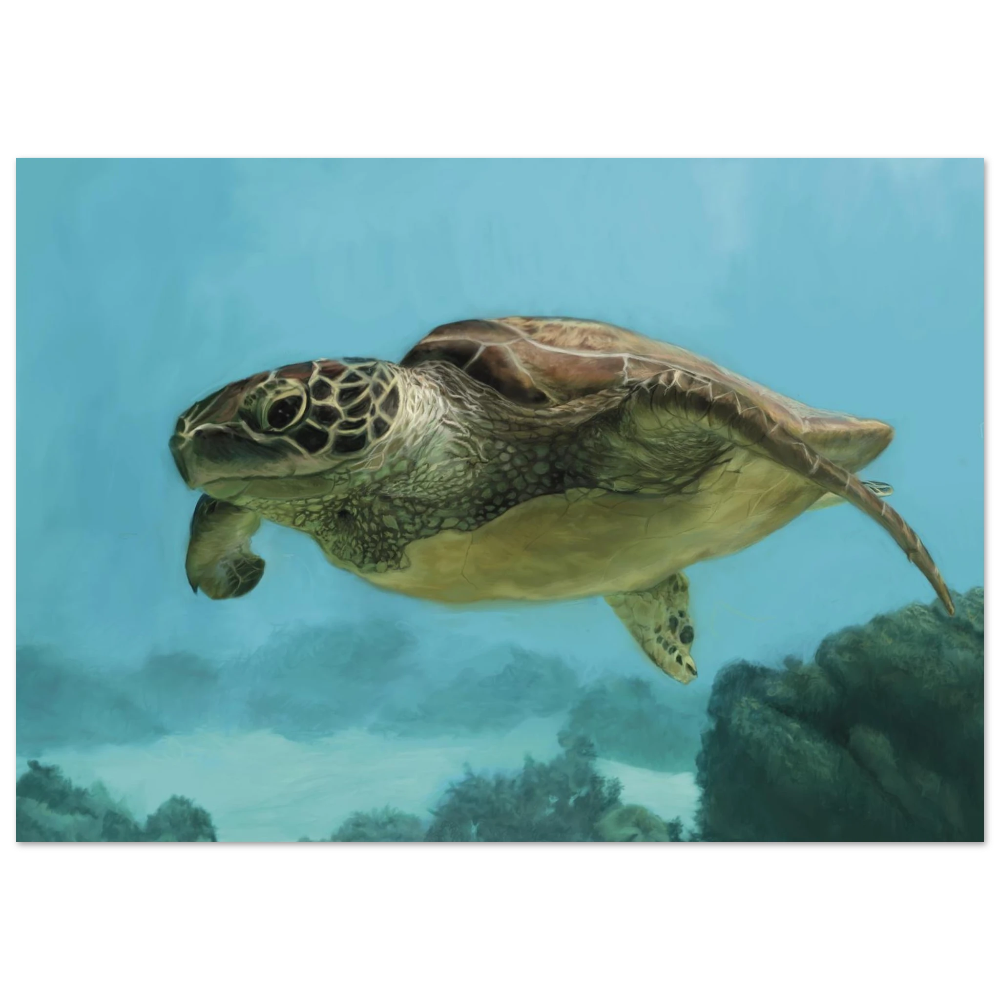 7b16c92a-e45d-4c4e-bfe4-1676db692826