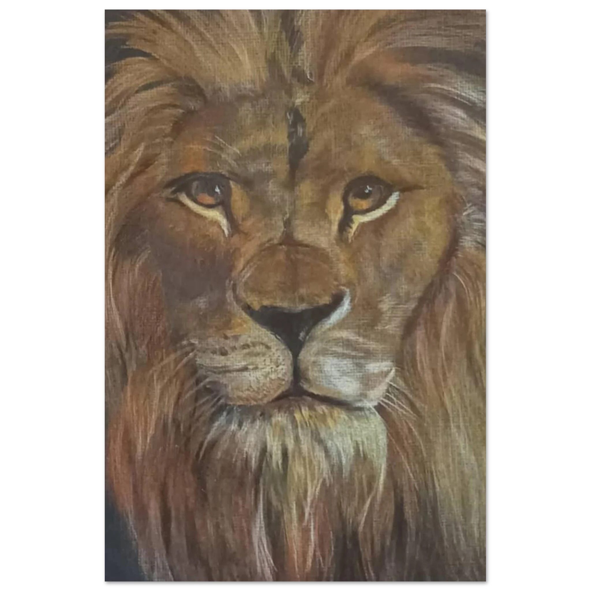 80421233-4080-4a5e-b07d-13ecb74a55b7