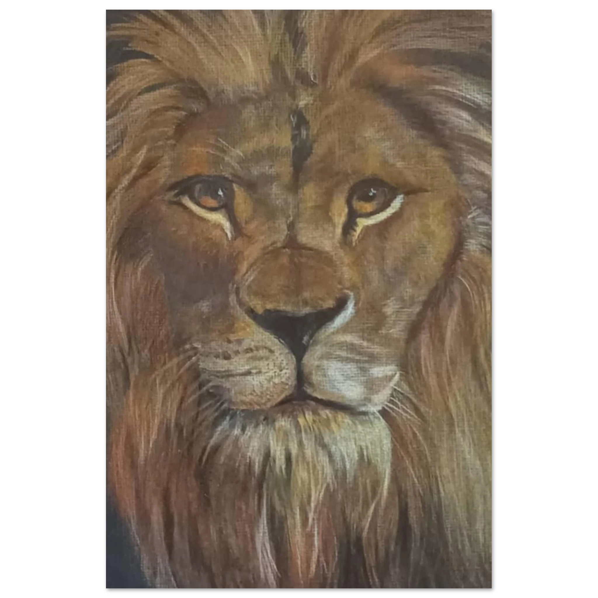 8e1ca579-16f5-4b6a-8acf-969f246ade1b