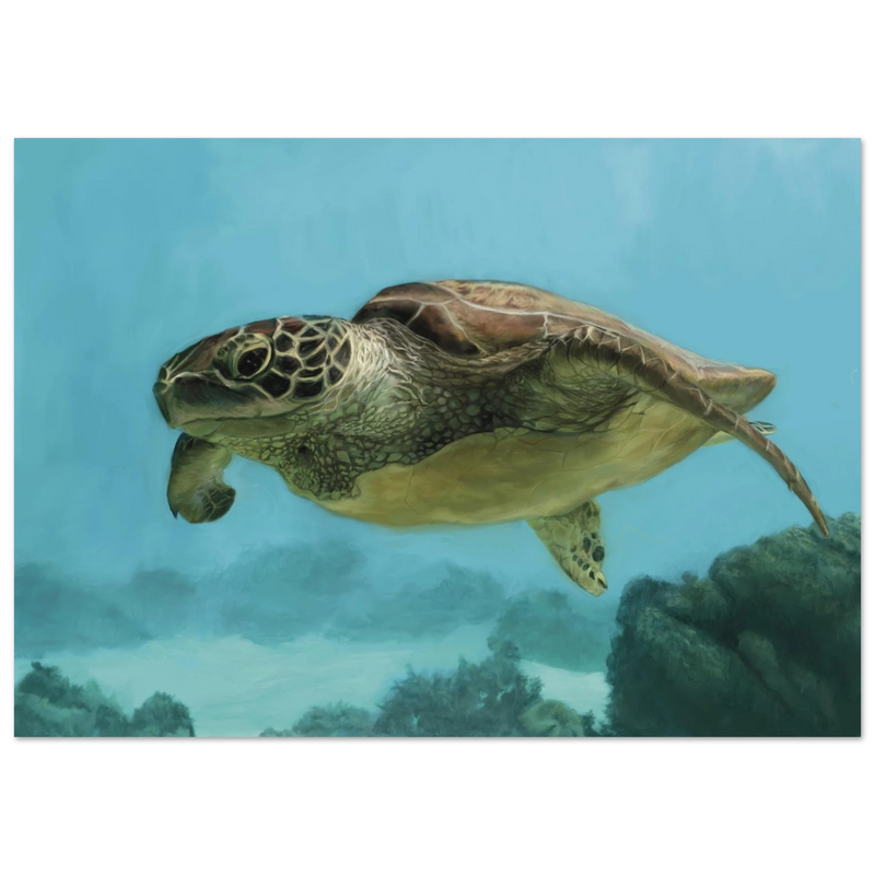 95407e96-9183-4790-9702-ae0192642016