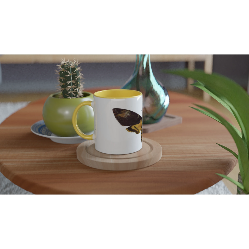 bf9e57df-1ebb-4cfc-9130-bbcc04a6c2b8