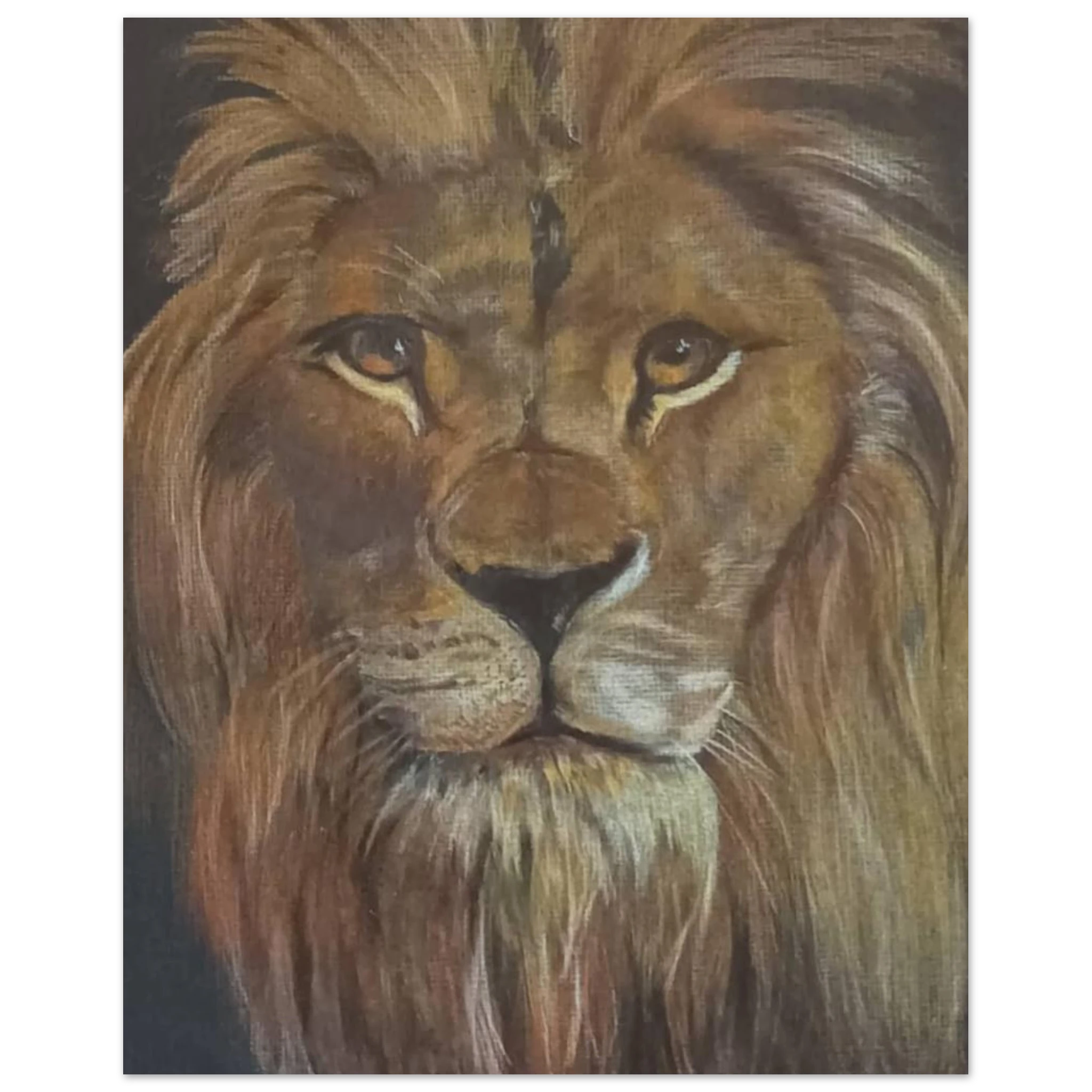 d8531a93-9f1c-4a79-93e3-781af1f9cb08