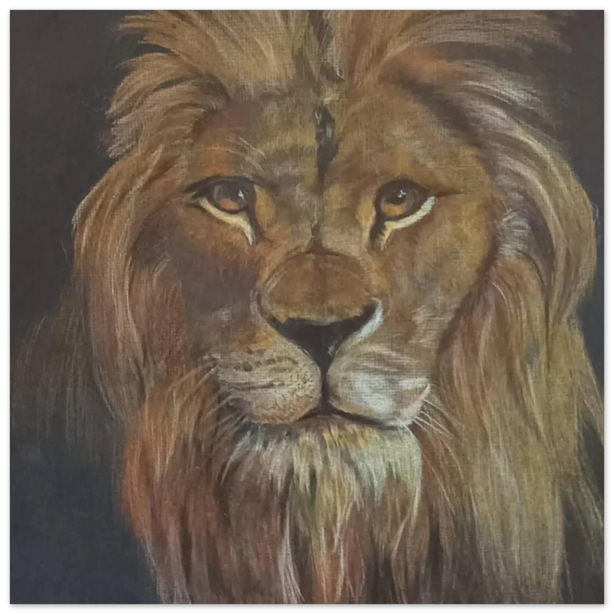 dbf30b3a-3219-4648-bb54-fe924ee27930